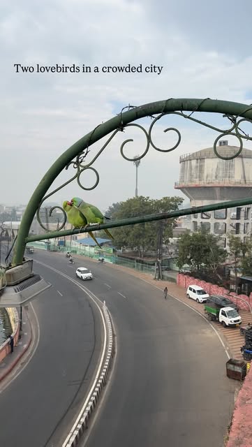 #Morning Reel by @sudhanshukaushik (verified account) - An early morning love story somewhere in Rajasthan.