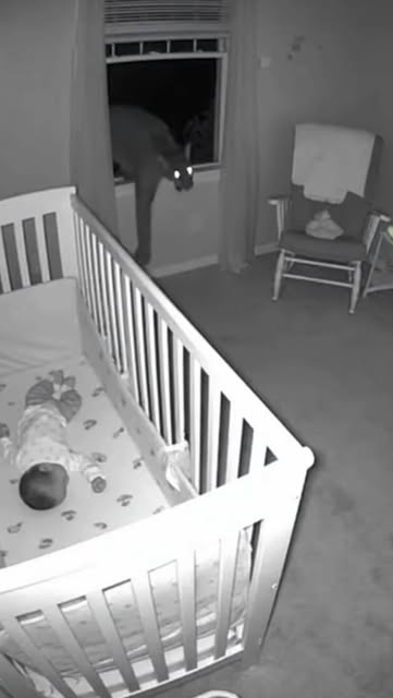 #Landscape Reel by @naples.florida.life (verified account) - Some moments expose the real Naples more clearly than any headline or postcard. The city is known for calm mornings, pristine beaches, and neighborhoo