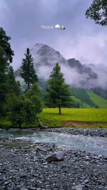 #Nature Reel by @hunzatourismclub_ - This & no Stress 🌧️🏔️
📍Domal Astore Valley Gilgit Baltistan 🌸🏔️
Northern Pakistan 🇵🇰♥️
Make memories with your loved ones
We are offering aff