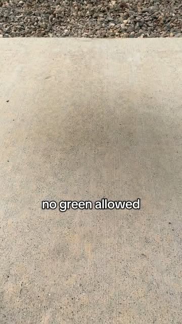 #Drawing Reel by @khelsie.anderson (verified account) - don't hug me I'm scared 🥑 color theory avocado chalk art drawing #chalkart #colortheory #chalk  #chalkartist #artistsoninstagram