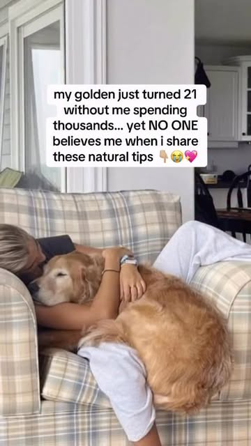 #Healthydog Reel by @memesky.ig - It started with my granny, before fancy supplements existed.
She always said: "Dogs don't need chemicals, they need care." 🐾
Here's what we still do