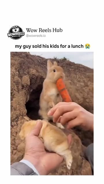 #Landscape Reel by @wowreels.io - This short video features a person in formal attire and a face mask kneeling on a barren, dusty landscape dotted with small burrows, using a fresh car