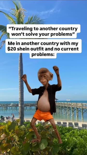#Vacation Reel by @daveyboyyyyyy - #vacation #holiday #shein #travel #memes