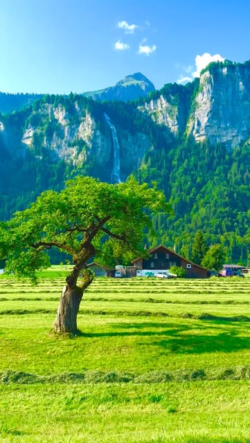 #Wanderlust Reel by @baqir_jafari______s - Switzerland 🇨🇭🌱🌿🌳🌲🏡🌞⛰️
Unterbach BE Oltschibachwasserfall 📍
#switzerland #wanderlust #nature #fotografie #unterbach