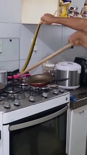 #Tbt Reel by @guilhermenetter - Visita inesperada... PARTE 1. tbt
Eu tava fritando um ovo, @marialuciaantunes ia fazer um café quando viu ela passando... gancho improvisado (rodo)