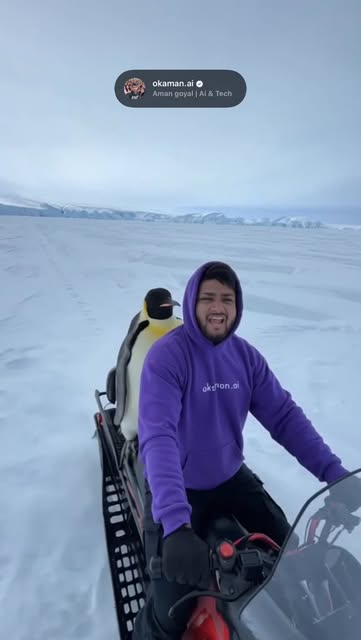 #Reels Instagram Reel by @okaman.ai (verified account) - Caught the viral Penguin 🐧 of Instagram…