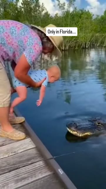 #Landscape Reel by @naples.florida.life (verified account) - Florida's coastal habitats are some of the most beautiful and unpredictable environments in North America. The mangrove shorelines, tidal creeks, and 