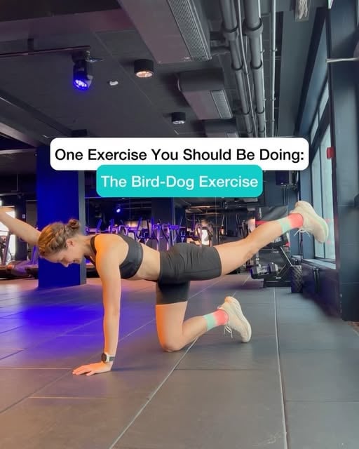 #What Are Bird Dog Exercises Reel by @running.yana (verified account)