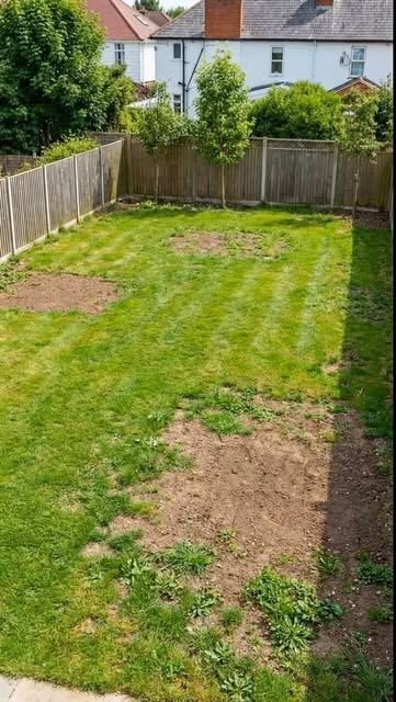 #Modern Landscape Reel by @manhwa_diablo - luxury landscaped backyard 🌲🌱
#luxury #backyard #landscape #garden #design