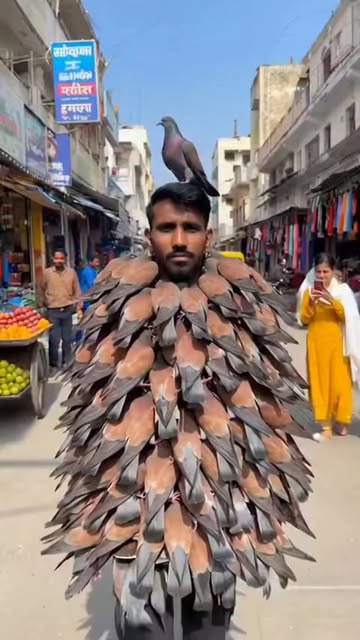 #Outfit Reel by @realashish27 - Passenger pigeon 🐦 ka outfit