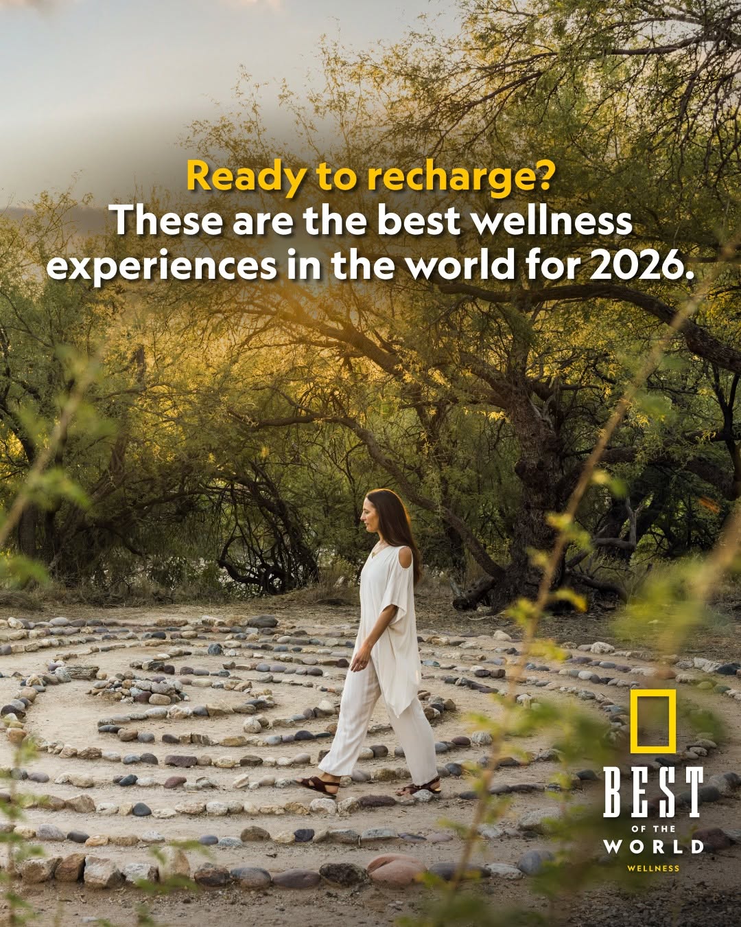 Not all journeys are about doing more. Our Best of the World 2026 Wellness Experiences guide inspires you to slow down. From seaweed bathing in Ireland to silent walks in Tanzania, or a traditional ha