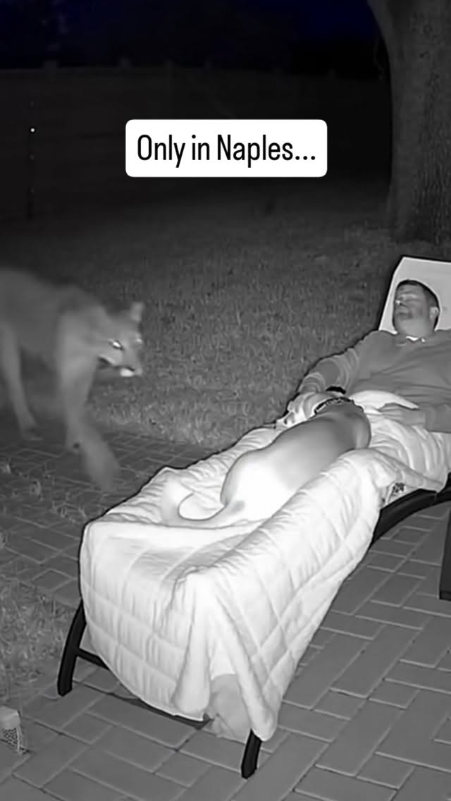 Naples, Florida continues to be one of the few places in the country where rare wildlife still moves through neighborhoods, golf courses, parks, and backyards. Home security cameras in Collier County