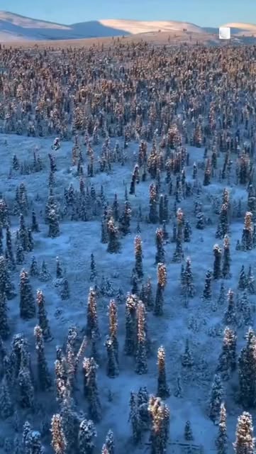 #Travelphotography Reel by @weathernetwork (verified account) - January...you were really something. ✨❄️ Can't wait to see what February has in store across Canada #ShareYourWeather
Thank you 📸:
» @shailyn_d
»