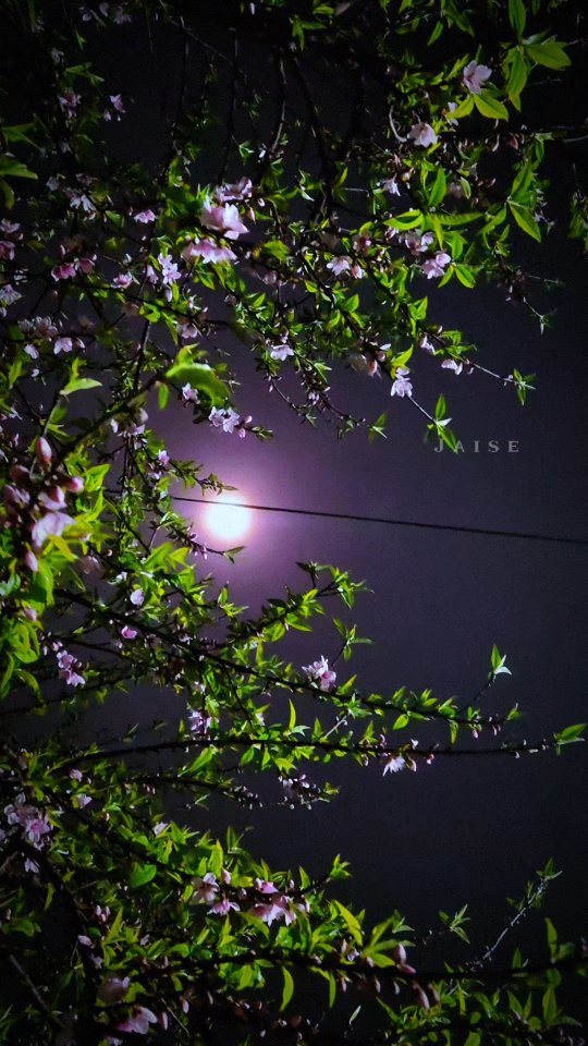 Kash tu aise aaye π₯Night π view with song π . . . #reels #nature #explore #nightphotography #naturephotography . .