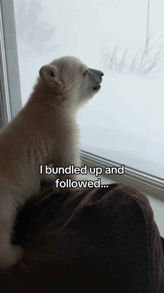 Well i might move back to California