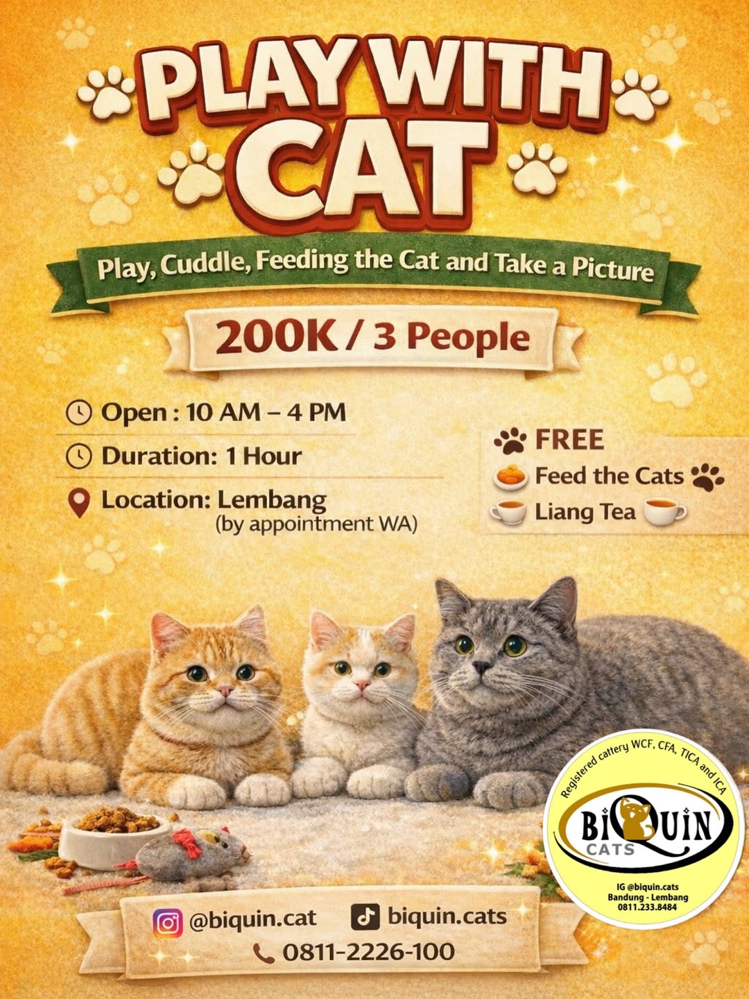 Catquarium BiQuin Cat buka lagi di Lembang! Yang kemarin belum sempet main, yuk jadwalin sekarang π€© Main, cuddle, kasih makan kucing, dan foto-foto πΈ Plus free Liang Tea β π° 200K / 3 people β° 10.