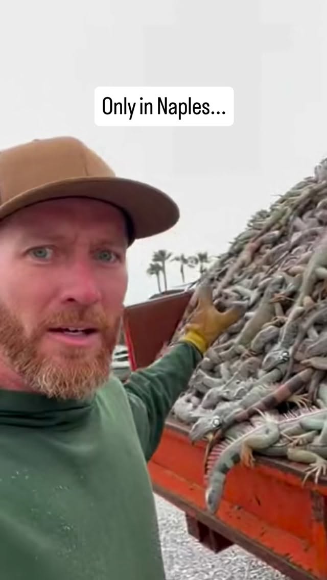 Florida wakes up to some unbelievable scenes when winter cold snaps hit, and Naples just delivered another one of those moments people outside the state canβt believe. When temperatures dip into the 4