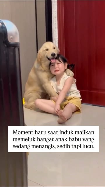 #Anjing Reel by @officialputrajaya94 - Seekor anjing kabarnya dapat mengetahui kalau pemiliknya sedang sedih atau bahagia.
Ya, anjing dapat mengetahui dan merasakan kapan pemiliknya sed