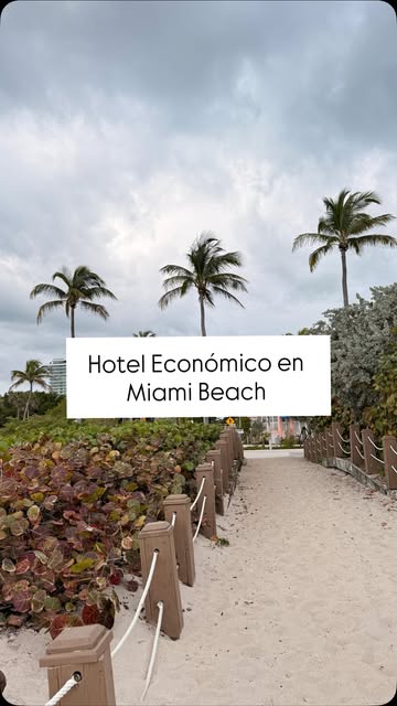 #Hotel Belleza Miami Beach Reel by @sharonmagicfinds (verified account) - Este hotel tiene una ubicación increíble y ademas tiene cocina lo que lo hace perfecto para personas que están buscando ahorrar en su viaje o tienen n