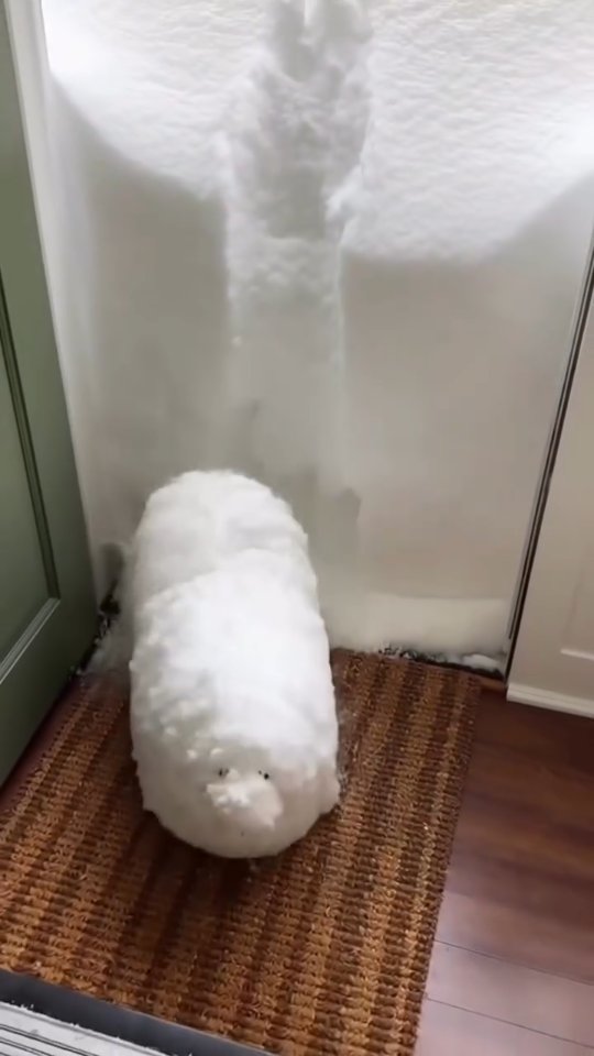 #doglover #cute #dogs