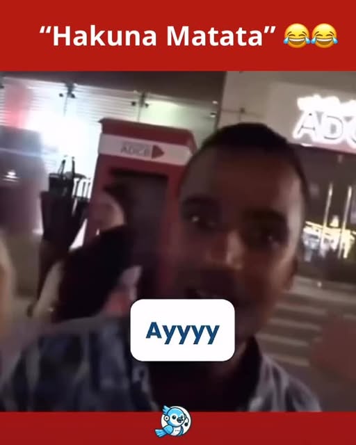 #Hakunamatata Reel by @jaytalk.app - Siga @jaytalk.app para mais conteúdos! 😂
"Hakuna Matata" 😂😂
Inglês: 5%
Racismo: 10000%
.
.
.
.
#englishmemes #inglesavançado #inglesfluente #inglê