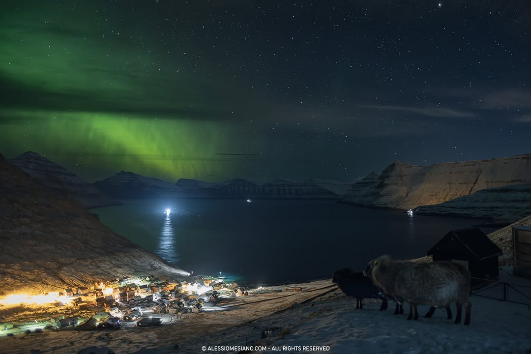 A Friday night spent in the middle of nowhere with some sheep watching the #northernlights. #faroeislands