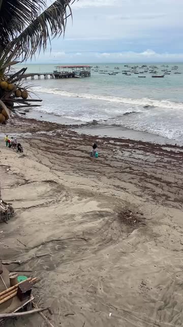 #Mancora Reel by @mancora.oficial - Despierta MÁNCORA la REVOLUCION inicia!