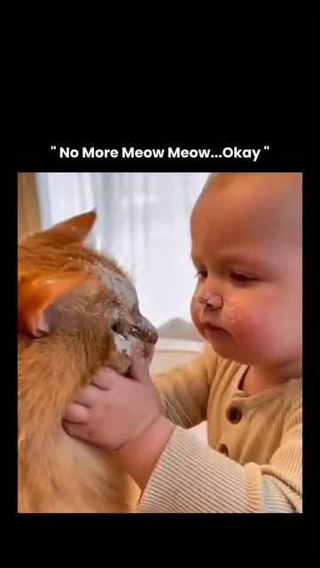 #Cat Reel by @wildvids.io - This post shows a tiny kid standing in front of a very confused cat, delivering the most serious warning ever: "No more meow meow, okay?"-like a mini 