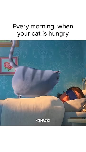 #Morning Reel by @lmaoys (verified account) - Every single morning
🐾 The Secret Life of Pets 2
2019 · Animation/Comedy/Family · 1h 26m
📜 Storyline
Now settled into family life, Max faces new c