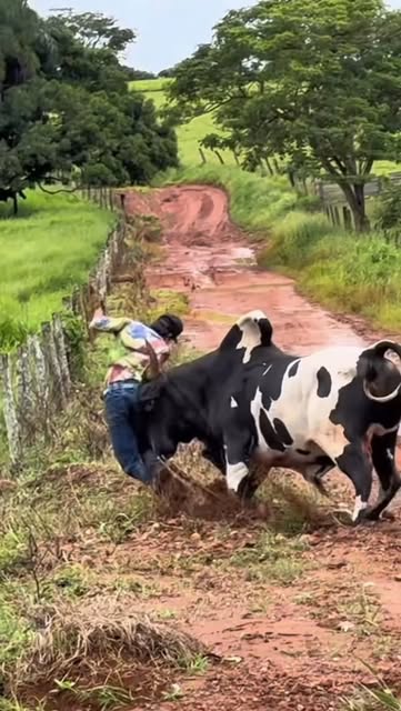 #Tbt Reel by @tudosobredoma (verified account) - Já que hoje é dia de TBT, pega esse aí!😂😂