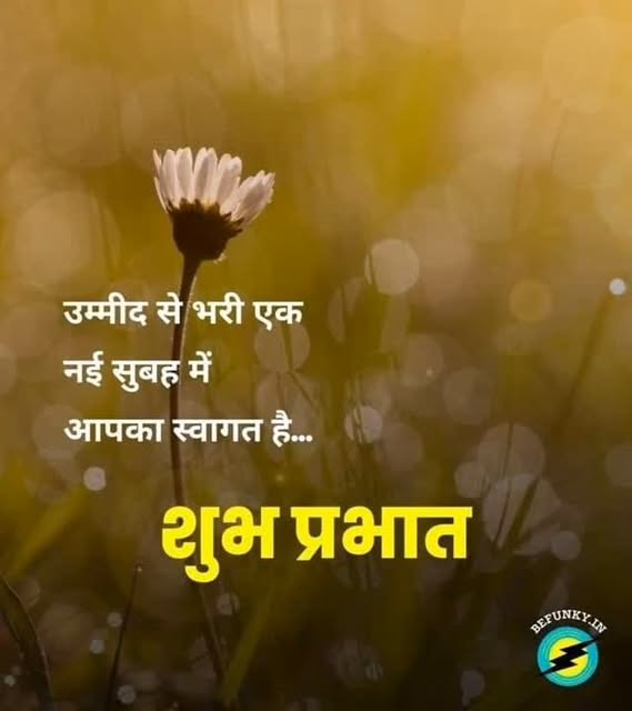 #Subh Budhwar Good Morning Images In Hindi Reel by @aggarwalvish - शुभ प्रभात 🙏🙏
#जयश्रीहरि ♥️♥️