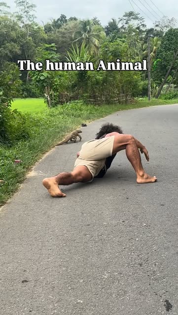 #Naturephotography Reel by @love_for_movement - Have you ever tried lizard walk?
Comment READY to get the details of our lower body program ✨
Thank you @learnmoveheal for the video✨🙏
#animal
#nat