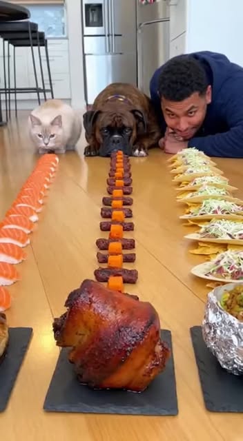 #Funnyanimals Reel by @petzumm - 🍗🐶 Cat vs Dog Food Race! 🍣🌮

Who will win the ultimate food challenge?! 😹 Watch as a cat, a dog, and a human race to devour delicious foods like 