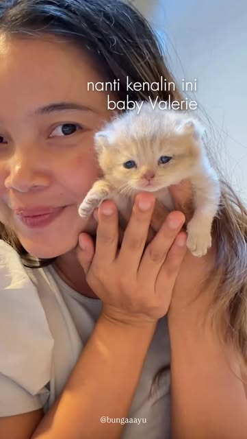 #Kucing Reel by @bungaaayu (verified account) - Bapakku adalah kakaku🥹
Maaf ya Valerie mamak mu Maci 1 kandang sama kakakmu pas lagi birahi.
Semoga jangan terjadi di kucing kalian ya Moms.
Hi Bab
