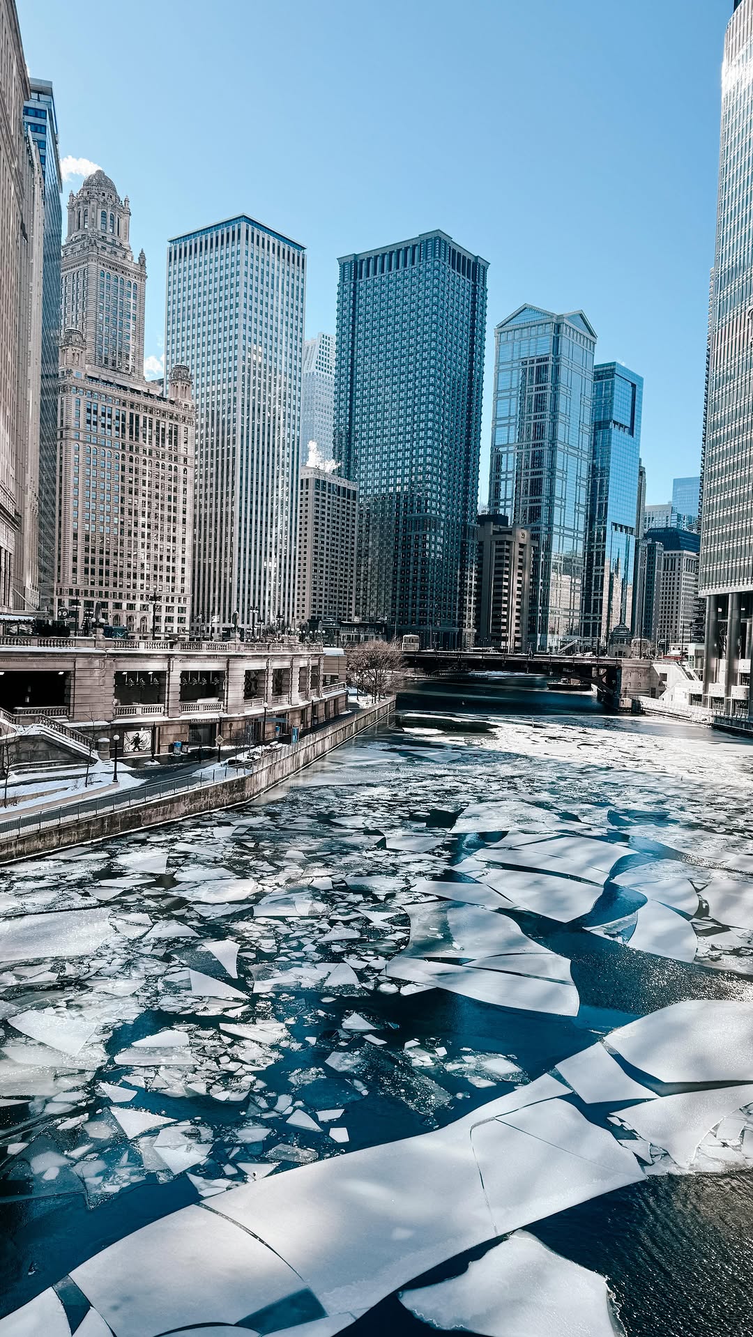 If you need me, I’ll be one with nature 🌱 I still don’t want to go camping though just fyi. Spill the tea, what’s his name and why are you reconnecting with nature? 😉 → Share this with a friend