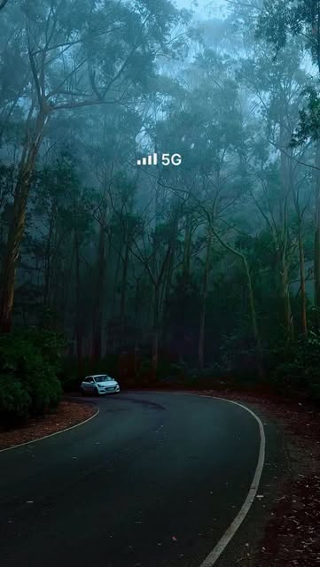 #Naturephotography Trends 2026 Reel by @anoopchandran006 - Feel the ambiance of Pure nature
#naturelovers #naturephotography #foryou #explore