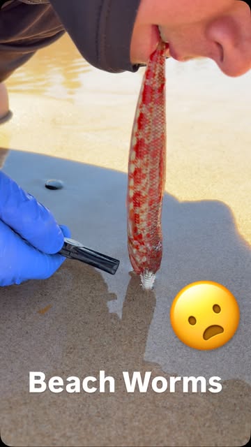 #Beach Reel by @tightlinezaus - Beach Worms
.
.
.
.
#foryou #fyp #reels #instagram #nature