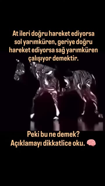 #Duygu Reel by @pozitifalanac (verified account) - Beyin iki yarımküreden oluşur ve her biri farklı zihinsel süreçlerde daha aktif rol oynar.
Sol yarımküre genellikle analiz, mantık, planlama ve deta