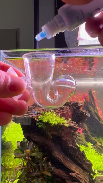 #Aquarium Reel by @aquascaping.passion - #aquascaping #aquarium #aqua #aquascape