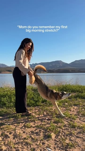 #Morning Reel by @bigtunavan - Our morning routine 🐺 PS: I'm not pulling his leg I'm just following his movement ☺️