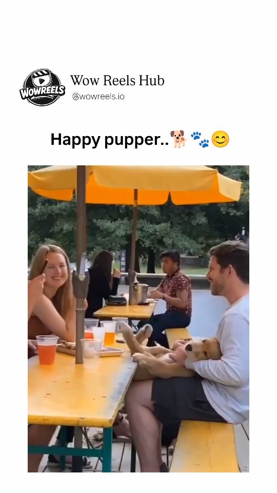 The video is a delightful 14-second clip set at a sunny outdoor beer garden with vibrant yellow umbrellas shading wooden picnic tables laden with drinks and snacks, where a group of friends chills in