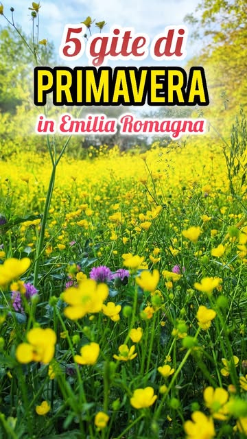 #Eventi Emilia Romagna Questo Weekend Reel by @duefigli_enonsentirli (verified account) - 5 gite di primavera in Emilia Romagna 😍 con bambini!
💾 Reel da salvare!
🌸 Arrivano le belle giornate, la natura si risveglia, questo è il momen