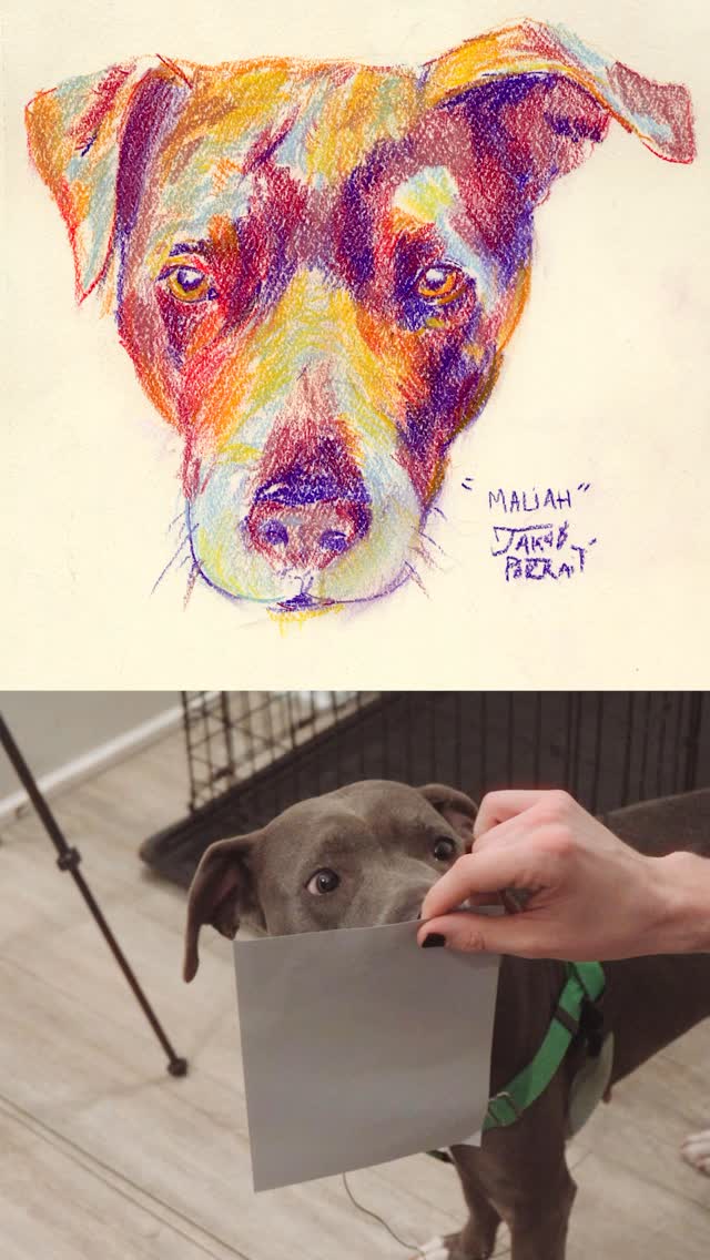 Portrait of a Dog πΆ #art #dogportrait #rescue #cute #puppy