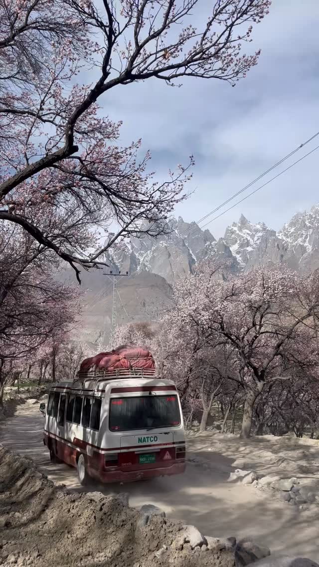 Machulo valley π . . #reels #blossom #gilgitbaltistan #naturephotography #instagram