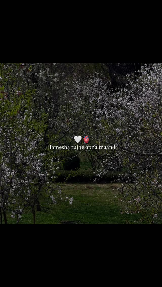 Hamesha tujhe apna maan k🫀 . . . . . . . . . . . . . . . . . . . . . . . . . . . . . . . . Keywords (nature, aesthetics, nature photography, videography, Kashmir, mountains, sadsongs, water, rivers,