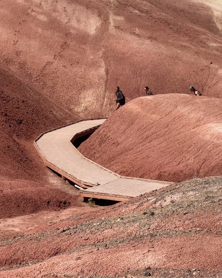 From Earth to Marsβ @humanrace x adidas continues the journey of purposeful movement.β @Pharrell #ADIZERO EVO SLβ β Sign up now on CONFIRMED. Available at adidas and select retailers on March 21st.