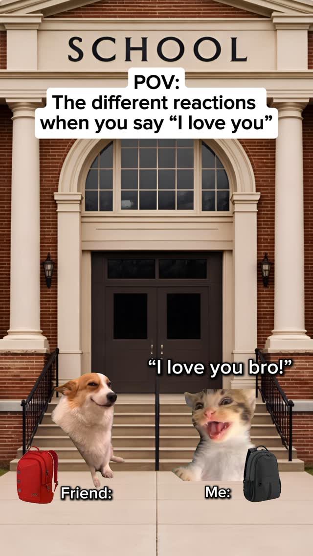 The different reactions when you say “I love you” #relatable #cat #catmemes #relationships #iloveyou