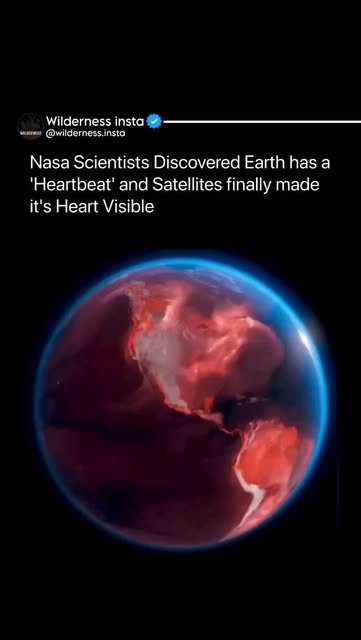 #Earth From Space Full Disk Nasa Photograph Reel by @wilderness_insta - What looks like a dying alien world is actually Earth, filmed by satellites tracking every breath it takes.
This is a real-time visualization of glob
