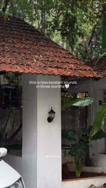 #Kerala Landscape Reel by @house.of.lutea - In three months🩵😍
.
.
#kerala #keralaarchitecture #landscape #monsoon