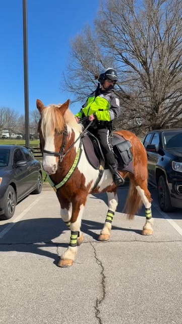 #Kentucky Reel by @kyhorsepark (verified account) - Perfect parking form. βοΈπ
The best part? Parking is free for guests at the Kentucky Horse Park thanks to our sponsor, Zycosan by @dechrausequine! #Sp